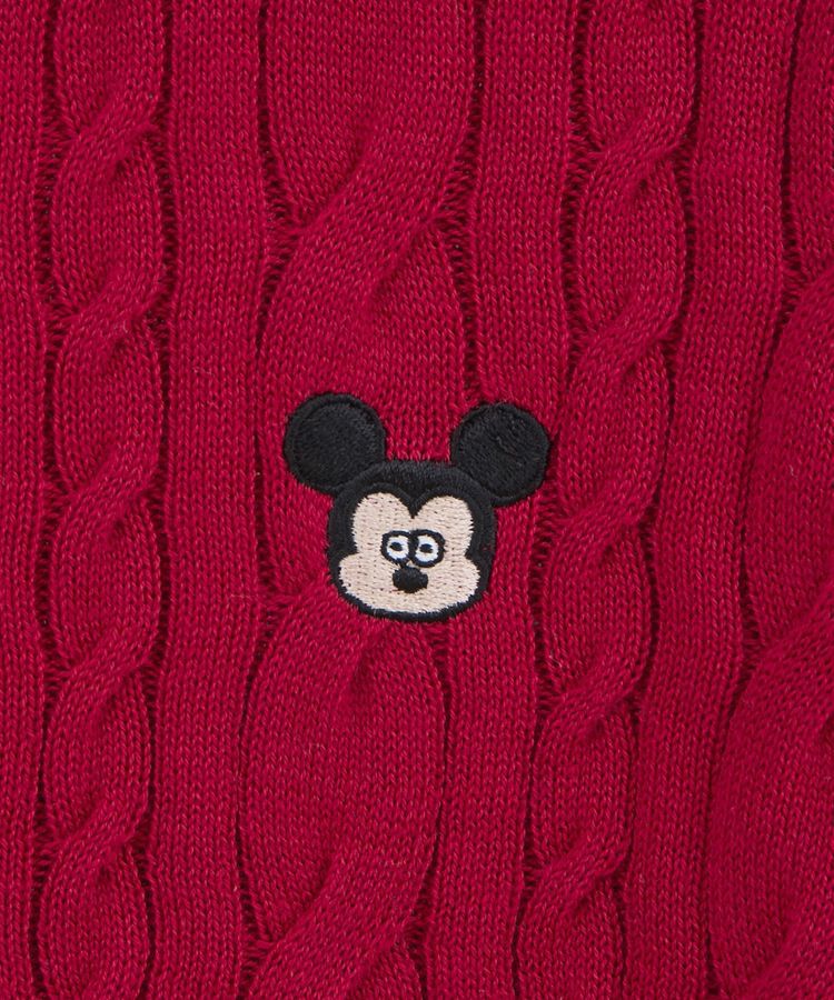 earth music&ecology「<Disney>松本セイジ 刺繍ニット」|ニット・セーター|