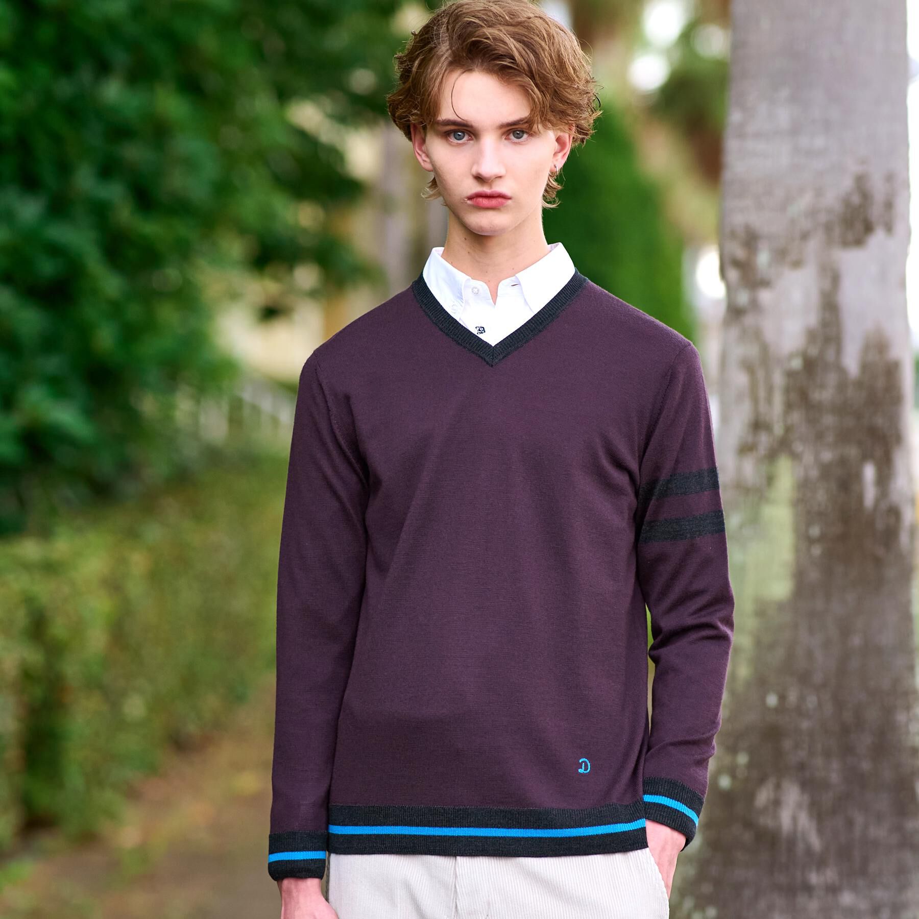 DRESSTERIOR「ウォッシャブルファインメリノ Vネックニット」|ニット・セーター|ブラウン(044)