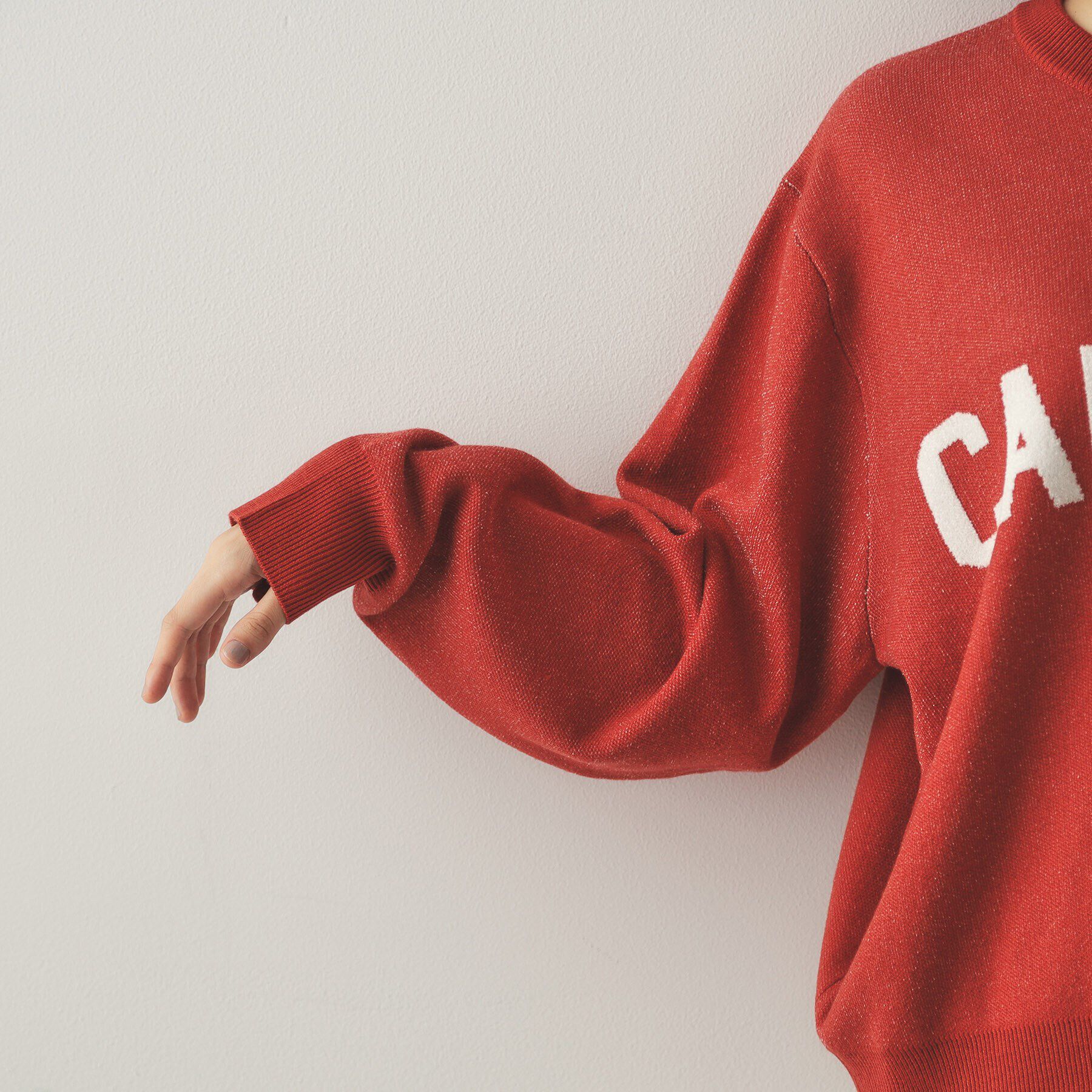 OPAQUE.CLIP「モールロゴジャカードニット【洗える】」|ニット・セーター|