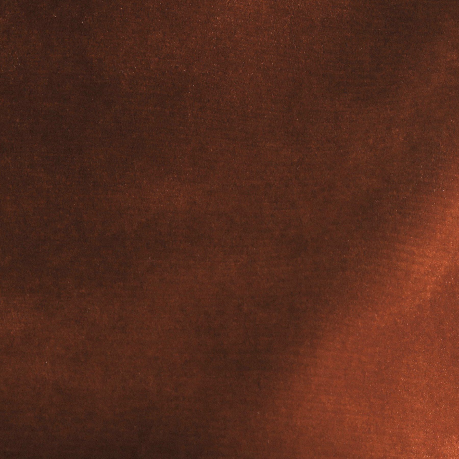 OPAQUE.CLIP「フロッキーチュールTシャツ【洗濯機洗い可】」|Tシャツ・カットソー|