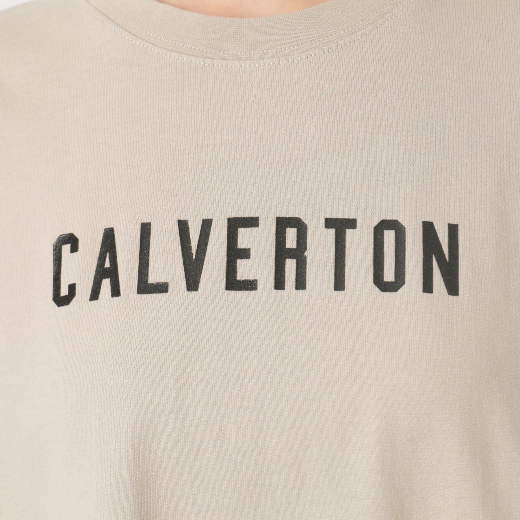 Dessin「【洗える】箔プリントチュニックTシャツ（XS～L）」|Tシャツ・カットソー|