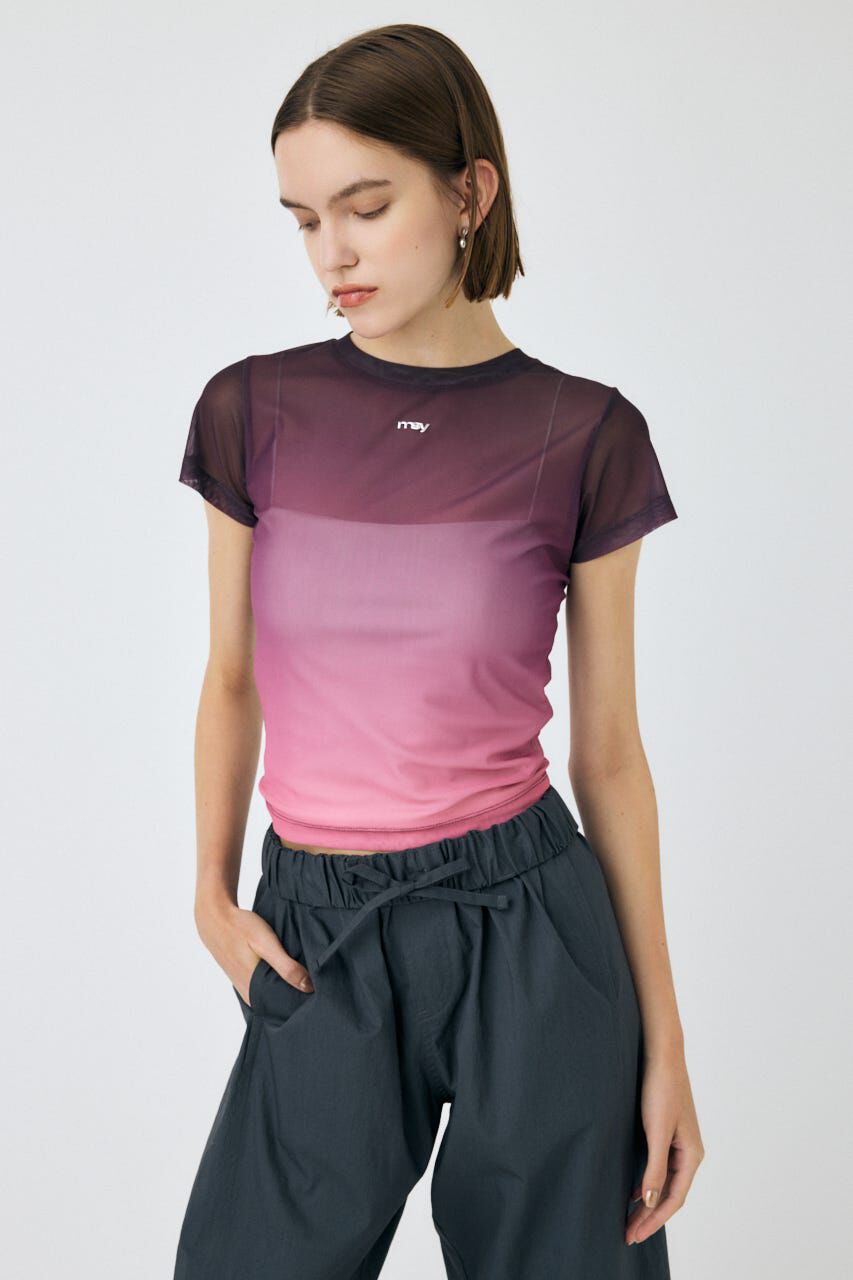 MOUSSY「GRADATION シアー TEE」|Tシャツ・カットソー|PNK