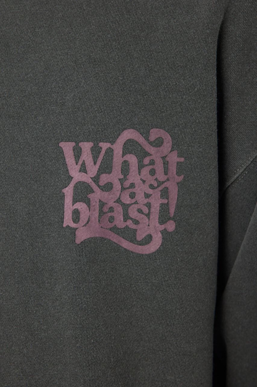 RODEO CROWNS「ピグメントロゴスウェット」|パーカー|