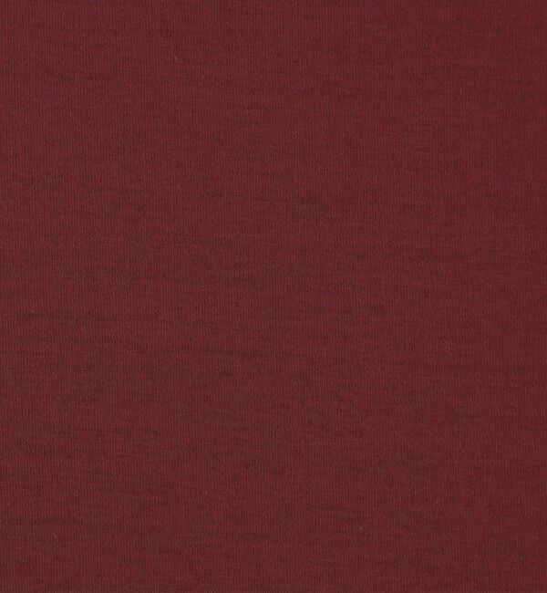 MACPHEE「【一部WEB先行予約】シアージャージー クルーネックプルオーバー」|Tシャツ・カットソー|