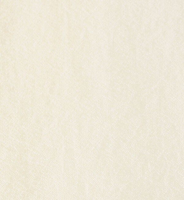 NOLLEY'S「シアーシルキーパール釦フリルブラウス」|シャツ・ブラウス|