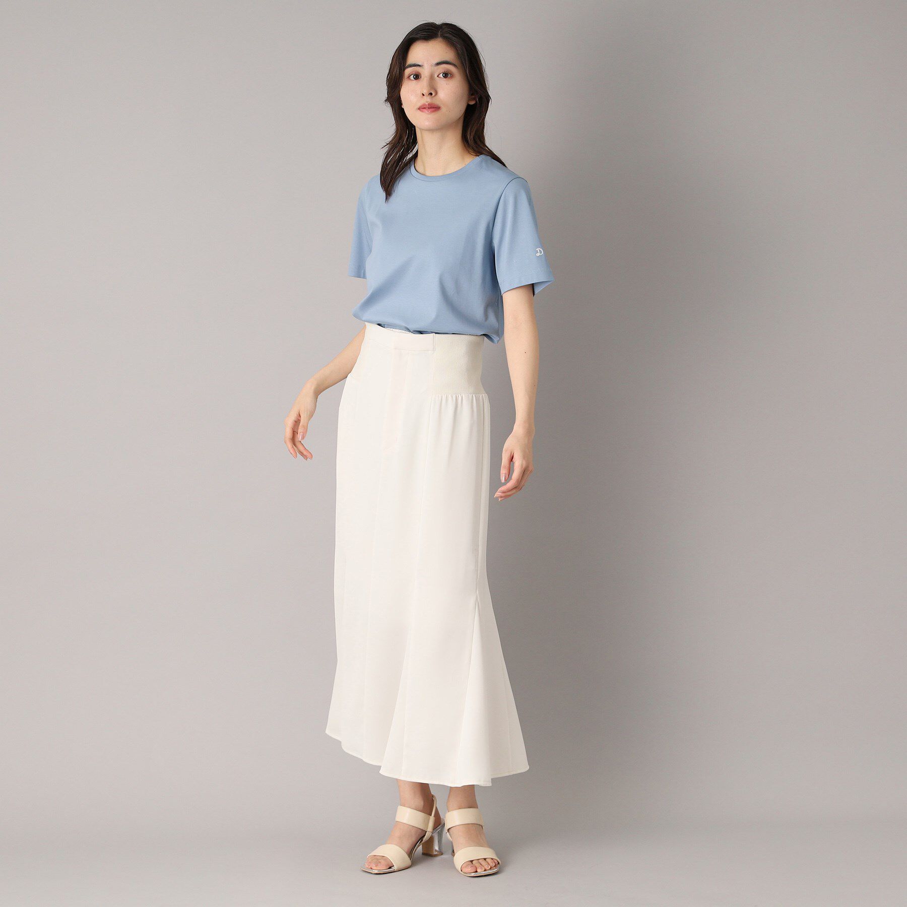 DRESSTERIOR「【接触冷感/抗菌防臭/消臭】アイスクリアコットンTシャツ」|Tシャツ・カットソー|