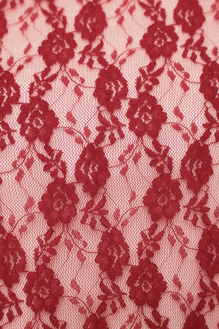 SLY「BASIC CUT LACE トップス」|Tシャツ・カットソー|