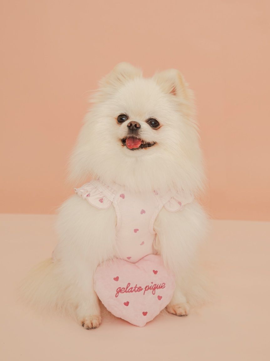  GELATO PIQUE CAT&DOG「【Valentine】【CAT&DOG】ハート柄フリルワンピース」|その他|