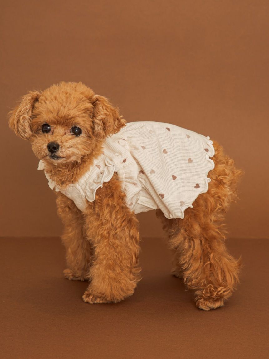  GELATO PIQUE CAT&DOG「【Valentine】【CAT&DOG】ハート柄フリルワンピース」|その他|