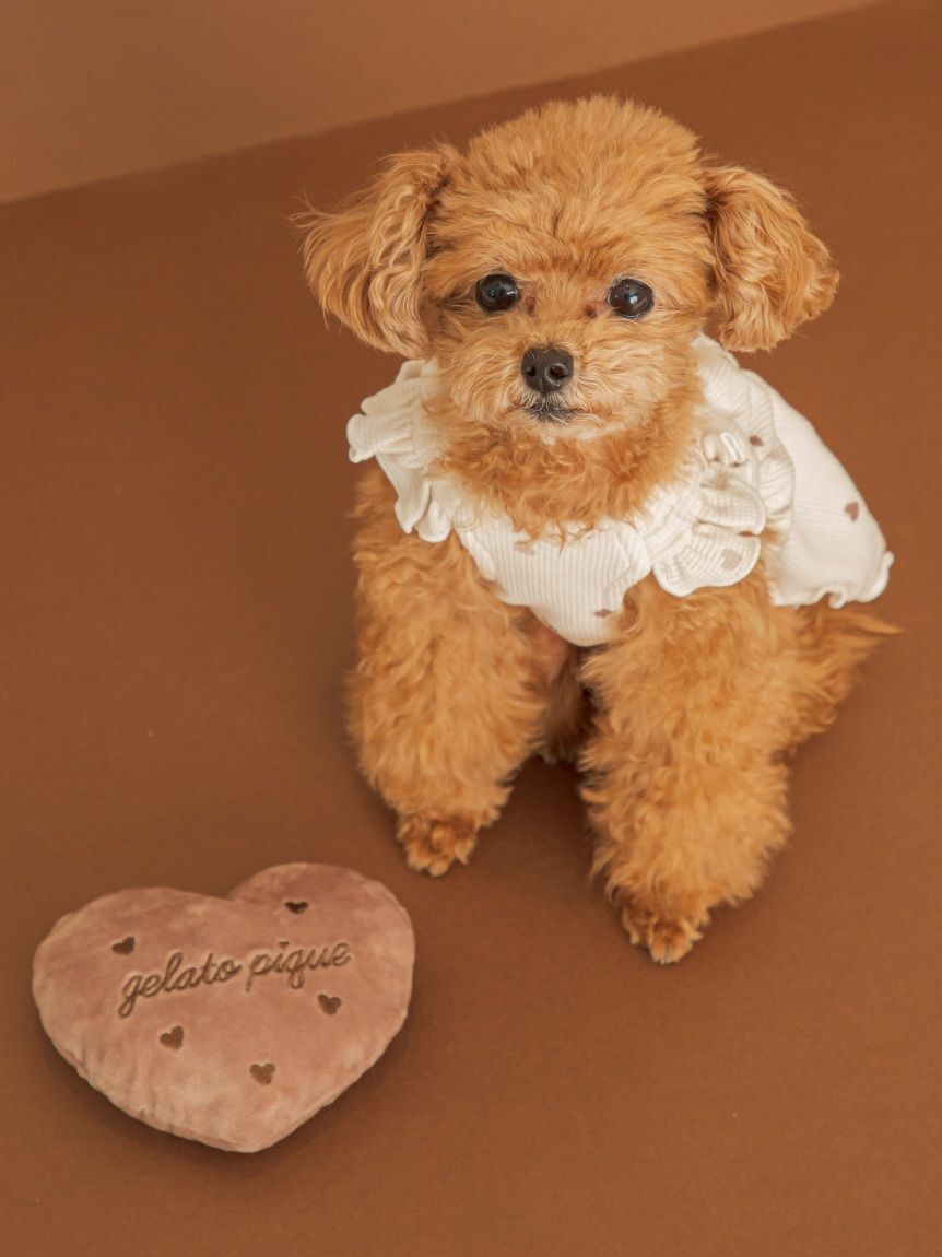  GELATO PIQUE CAT&DOG「【Valentine】【CAT&DOG】ハート柄フリルワンピース」|その他|