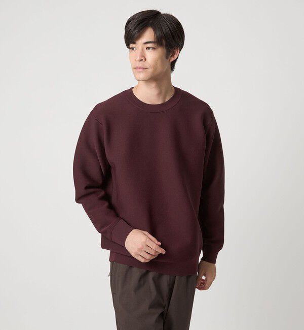 UNITED ARROWS green label relaxing「【WEB限定】ガータークルー ニット」|ニット・セーター|WINE