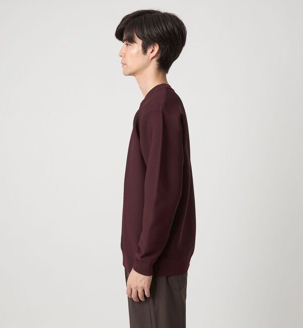 UNITED ARROWS green label relaxing「【WEB限定】ガータークルー ニット」|ニット・セーター|