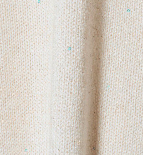 UNITED ARROWS green label relaxing「スパンコール ニット プルオーバー ウォッシャブル」|ニット・セーター|