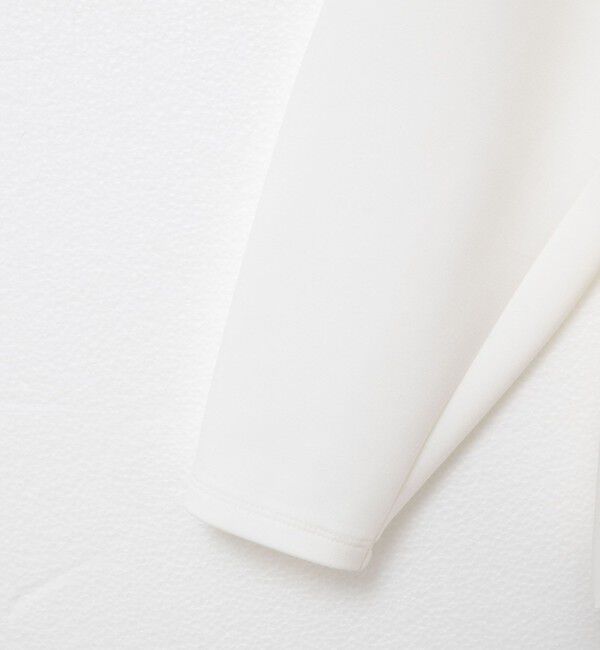 NOLLEY'S sophi「ウォッシャブルダンボール&times;タフタバックバルーンプルオーバー」|Tシャツ・カットソー|