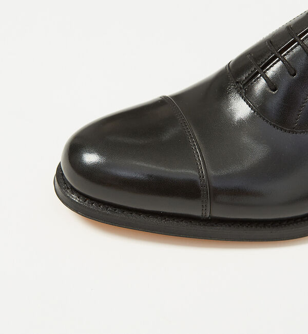 alfredoBANNISTER「【GENERAL&ORDINARY】内羽根ストレートチップシューズ」|ビジネス・ドレスシューズ|
