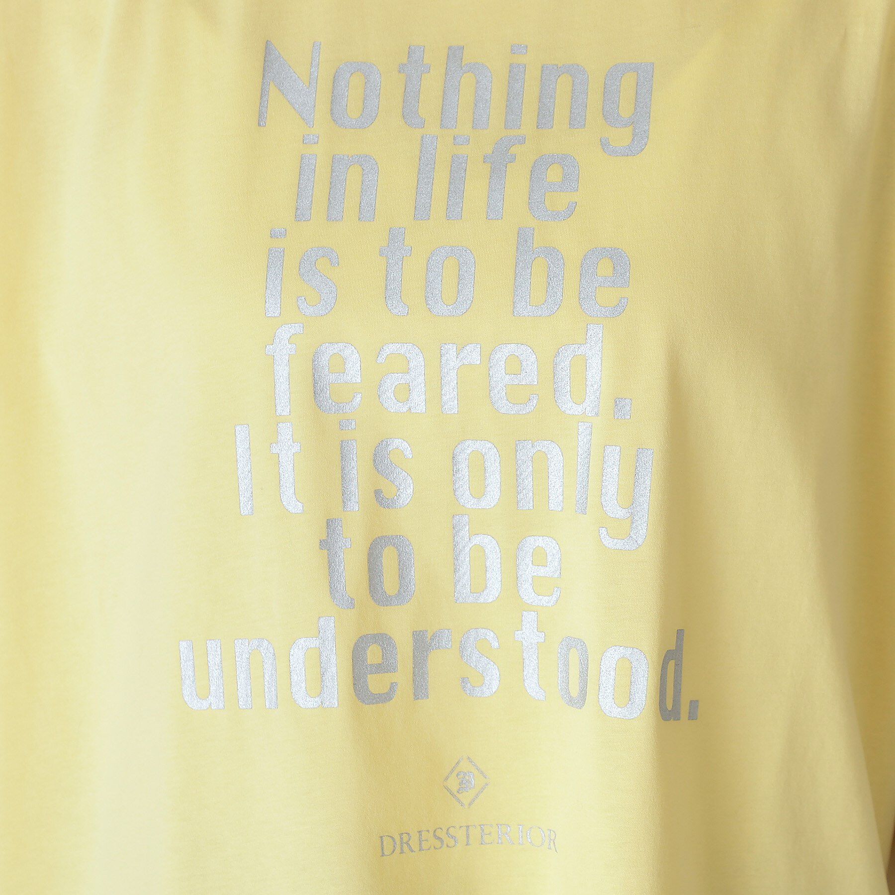 DRESSTERIOR「箔PTドルマンスリーブロゴTシャツ」|Tシャツ・カットソー|