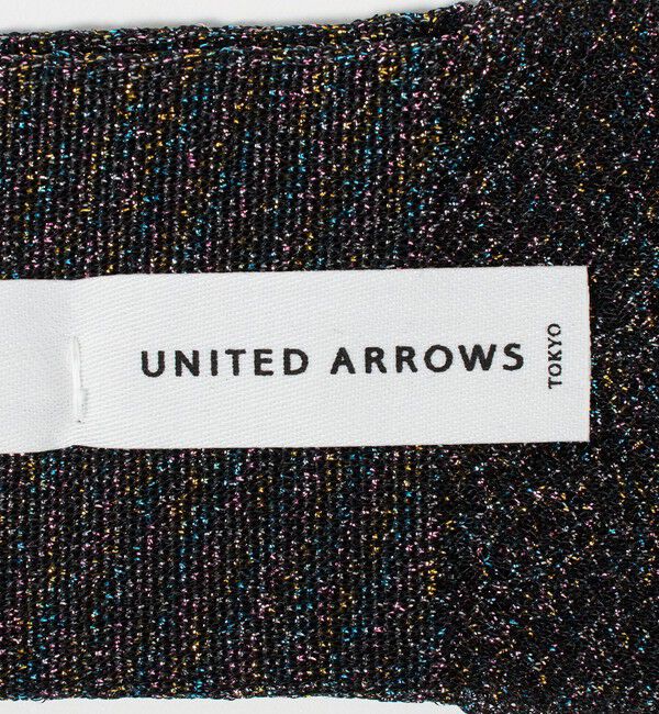 UNITED ARROWS「シアー グリッター ソックス」|ソックス|