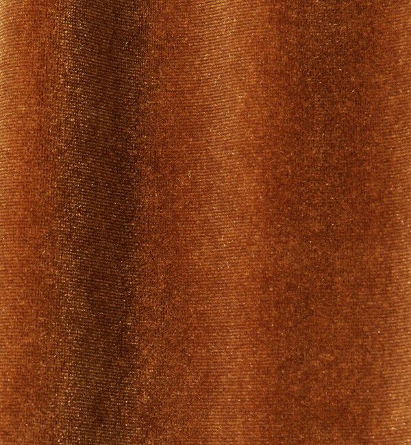 STEVEN ALAN「＜Steven Alan＞ベロア ロング スカート」|スカート|