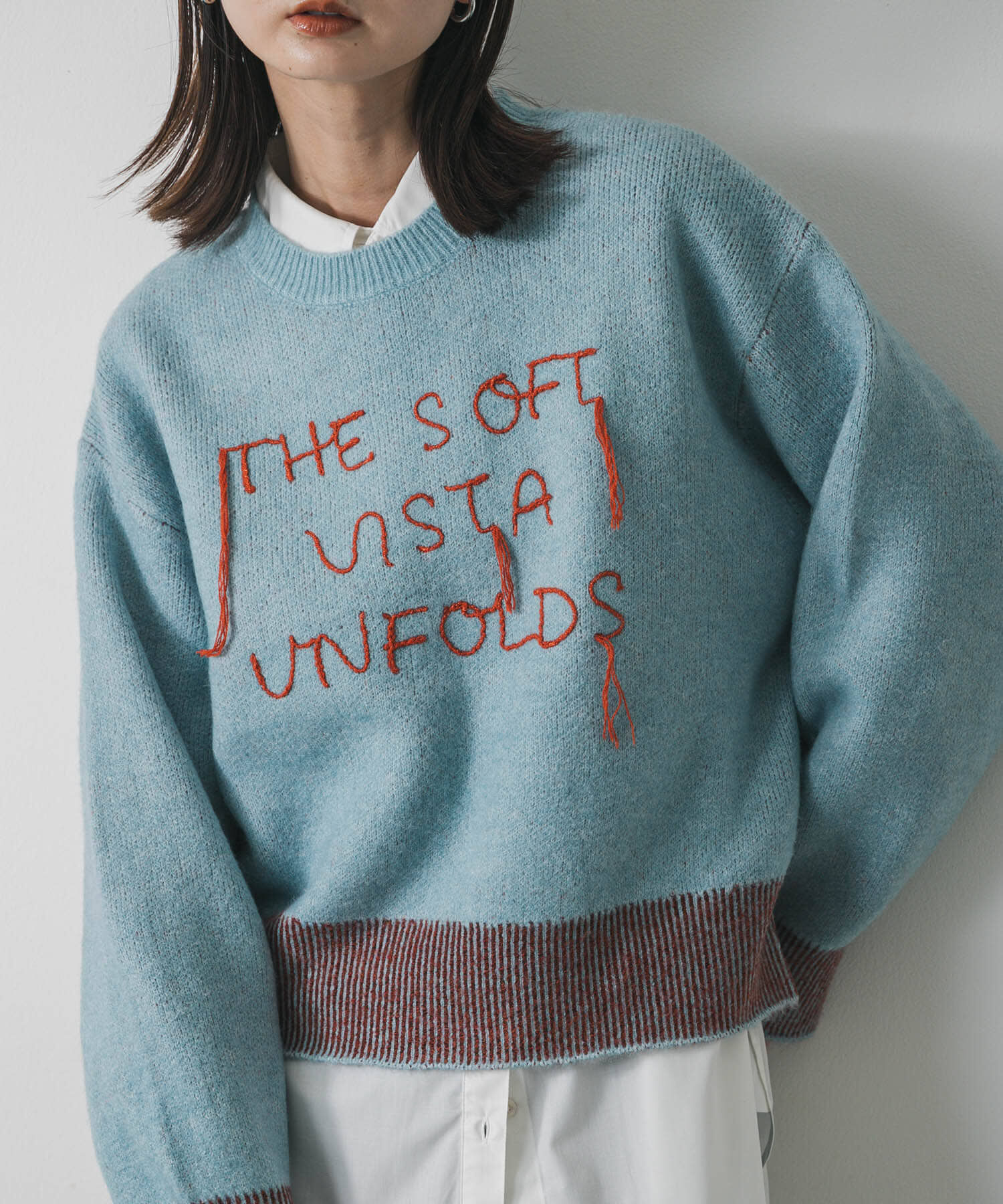 SENSE OF PLACE by URBAN RESEARCH「ロゴシシュウバイカラーリブニット」|ニット・セーター|