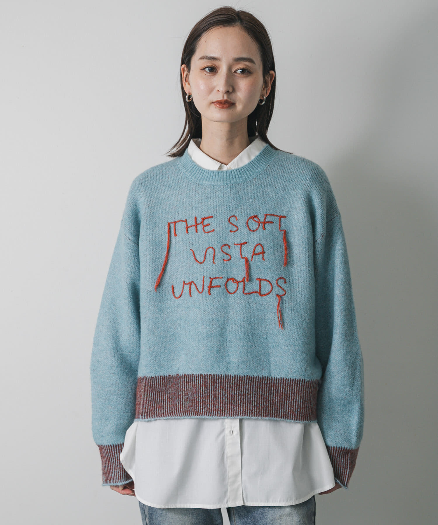 SENSE OF PLACE by URBAN RESEARCH「ロゴシシュウバイカラーリブニット」|ニット・セーター|