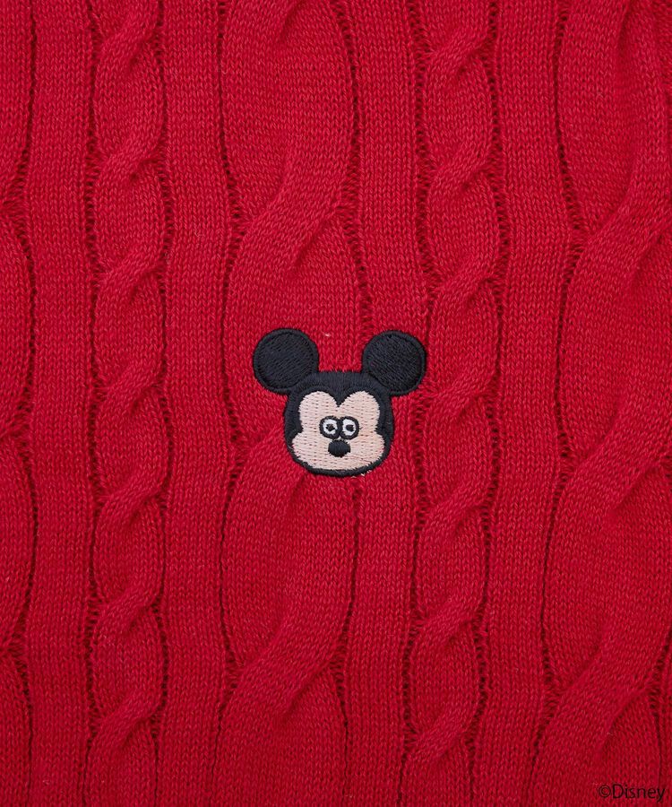 earth music&ecology「<Disney>松本セイジ 刺繍ニット」|ニット・セーター|