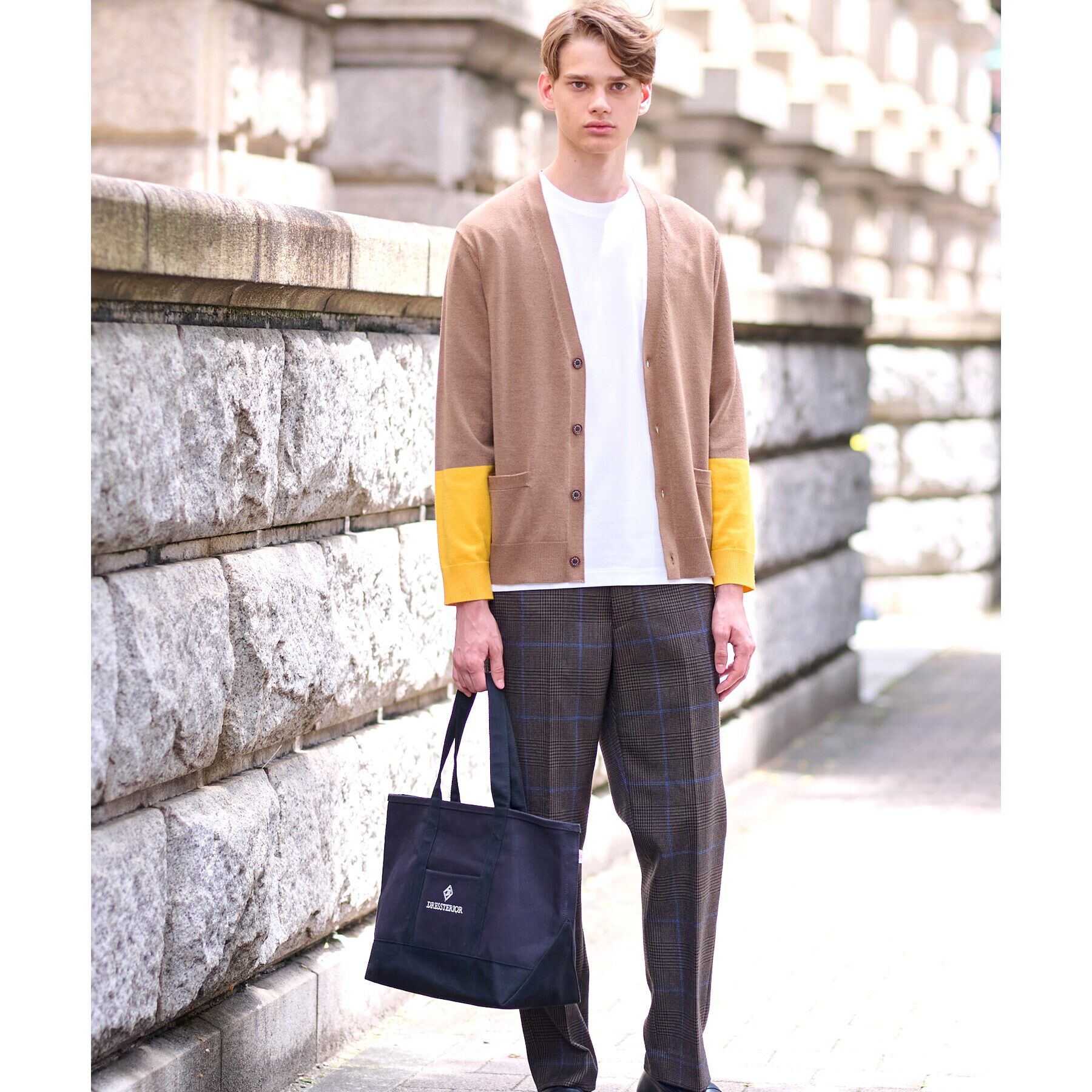 DRESSTERIOR「【CLASSY.5月号掲載】ドレステリア キャンバストートバッグ（M）」|トートバッグ|