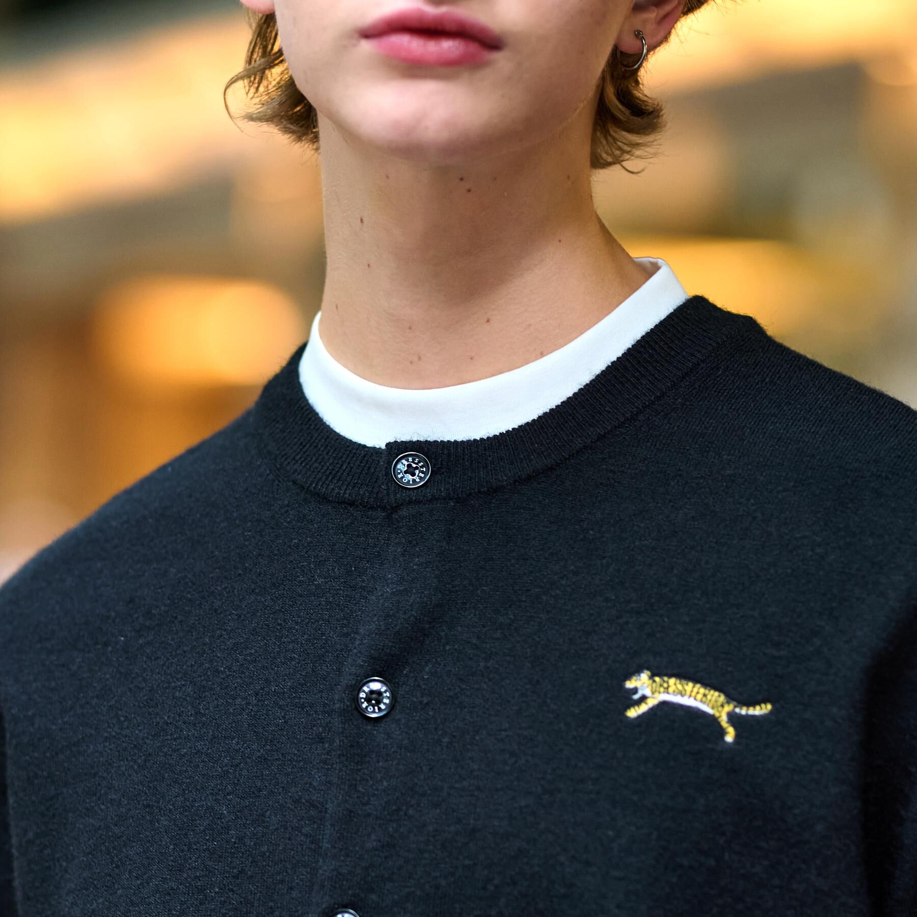 DRESSTERIOR「【Monomax11月号掲載】タイガーエンブロイダリー ラウンドネックカーディガン」|カーディガン|