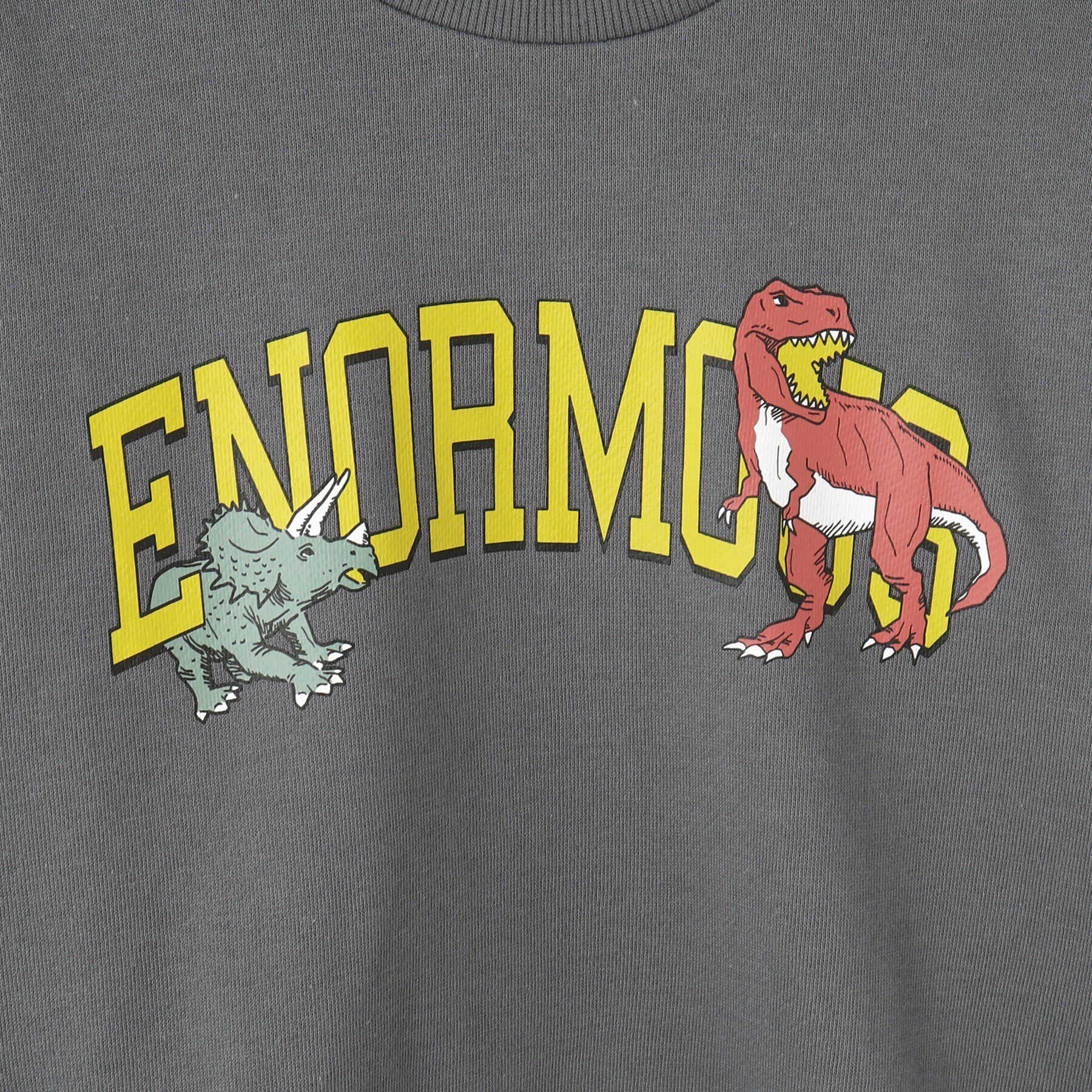 SHOO･LA･RUE「【100-120cm/洗える/兄妹リンク可】コーデの主役 アソートプリントスウェット」|その他|