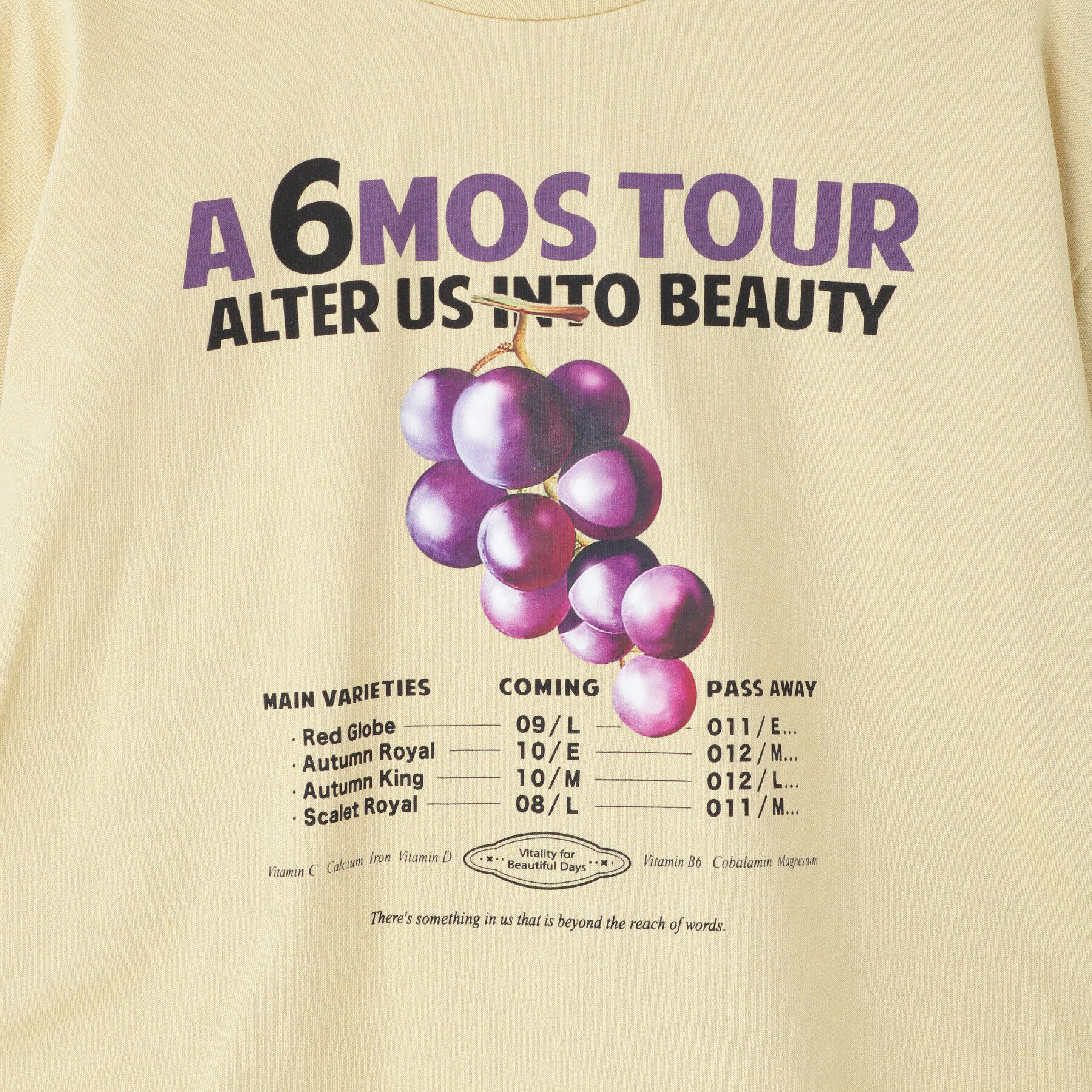 SHOO･LA･RUE「【100-150cm/レディースリンク】プリントアソートロンT」|Tシャツ・カットソー|