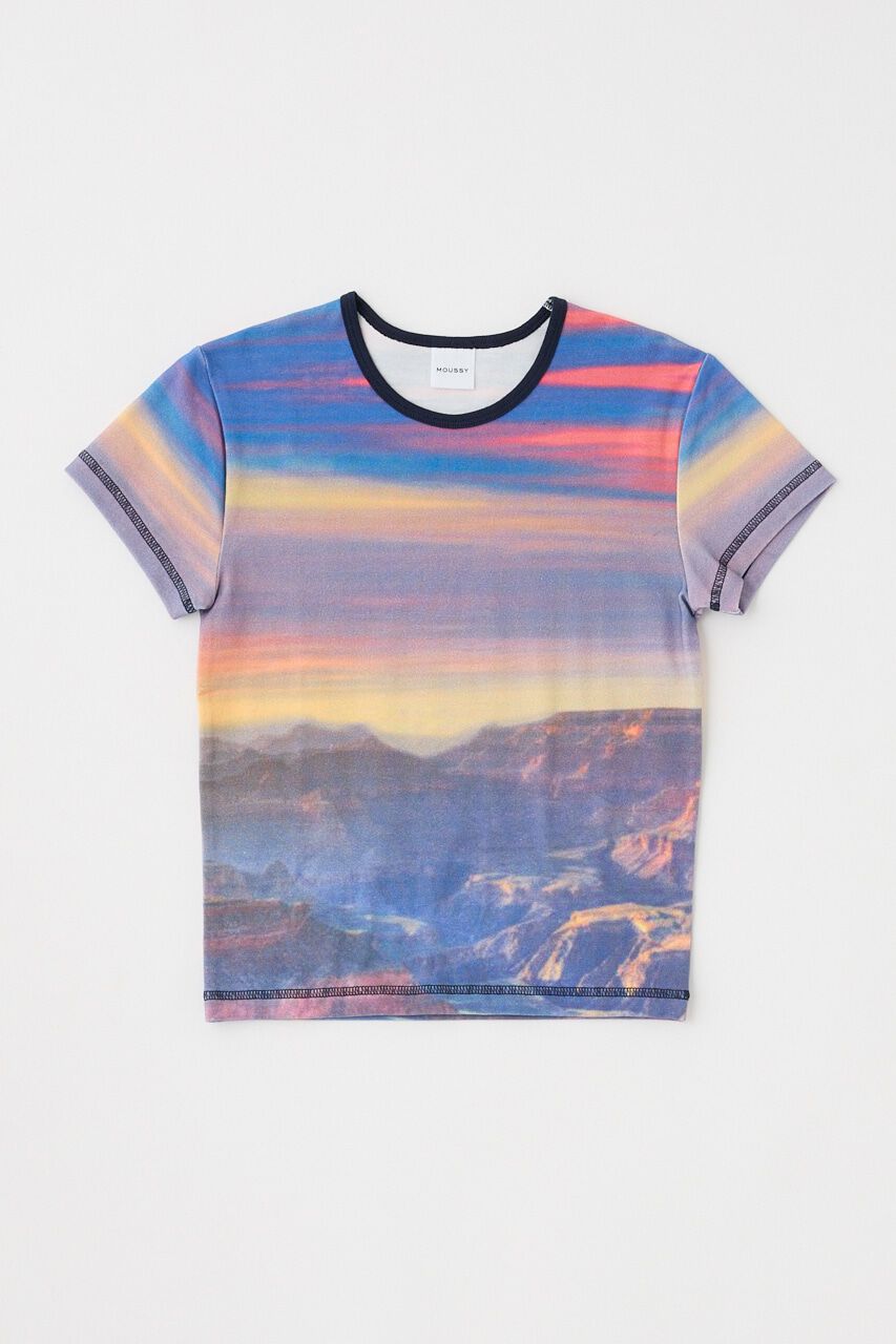 MOUSSY「NATURE FEEL Tシャツ」|Tシャツ・カットソー|BLU