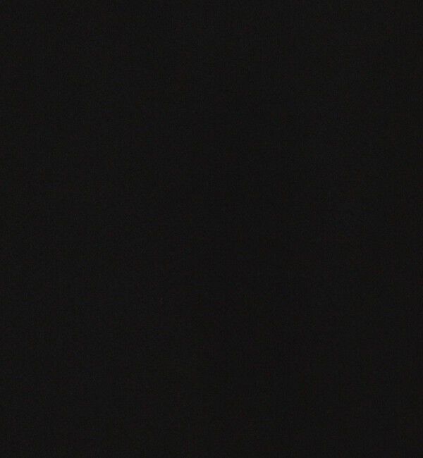 NOLLEY'S「オトナサテン半袖Tブラウス」|シャツ・ブラウス|