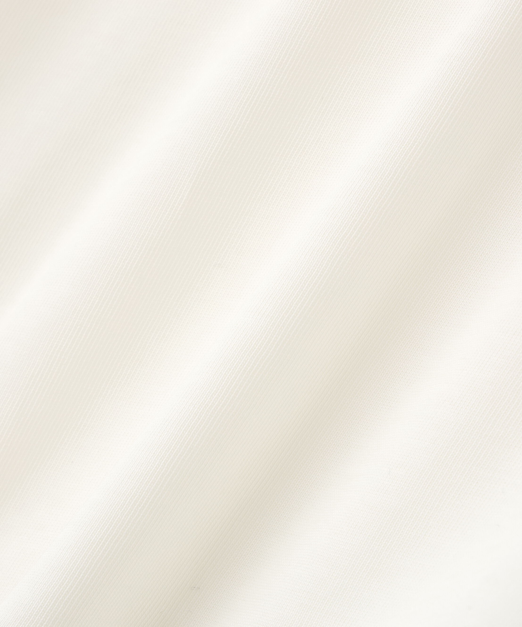  「クロップドカレッジロゴTシャツ」|Tシャツ・カットソー|