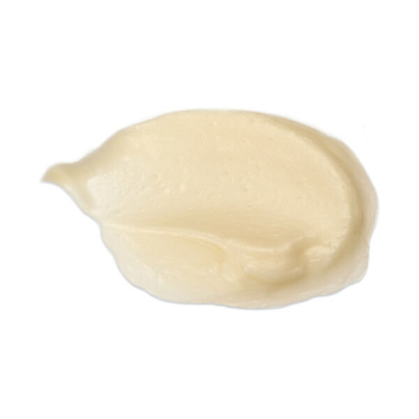  「イースペシャル アクティブクリーム V (30g)」|美容液・オイル・クリーム|