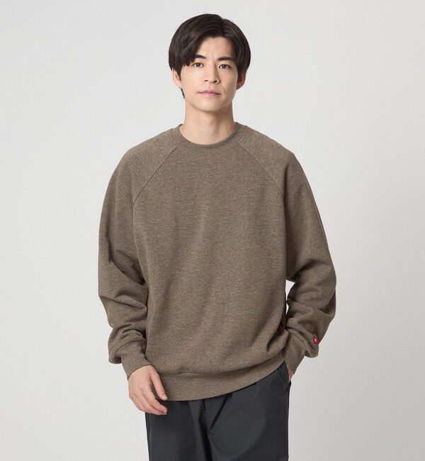 UNITED ARROWS green label relaxing「【別注】＜Healthknit＞クルーネック スウェット」|スウェット・ジャージ|DK.BROWN