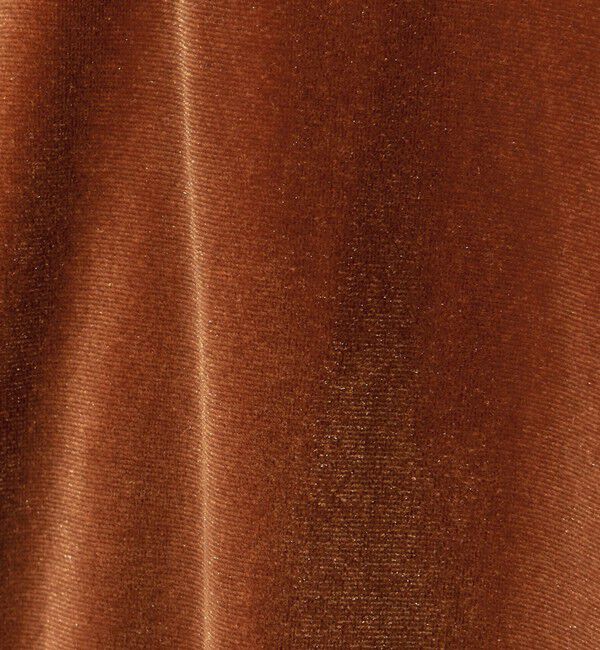 STEVEN ALAN「＜Steven Alan＞ベロア スキッパー ネック プルオーバー」|Tシャツ・カットソー|