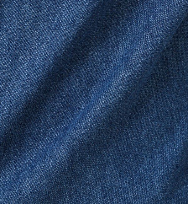 NOLLEY'S goodman「【DANTON/ダントン】DT-B0293 DUG DOT BUTTON B.D. SHIRT 25AW」|シャツ・ブラウス|