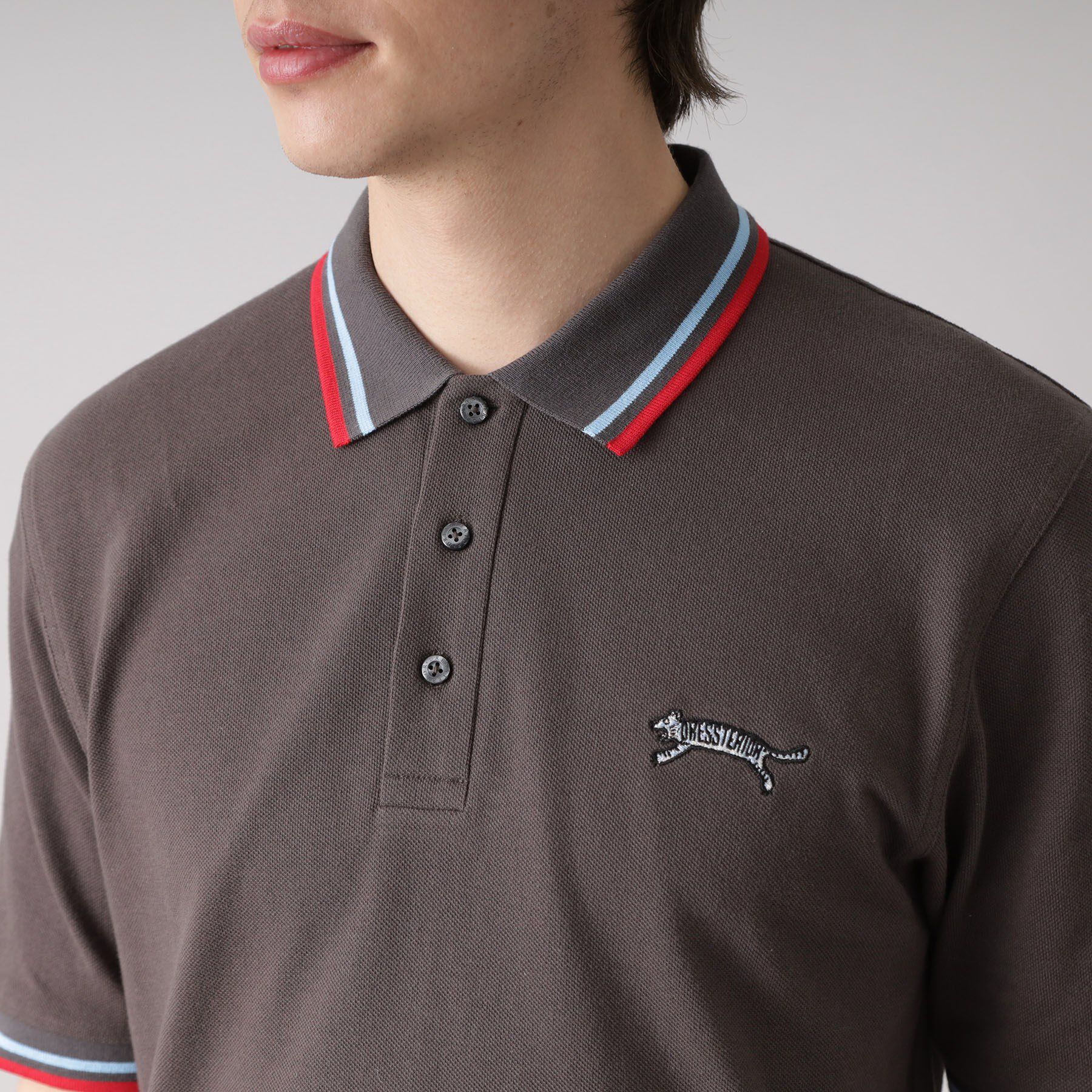 DRESSTERIOR「ドレステリア タイガーポロシャツ」|ポロシャツ|