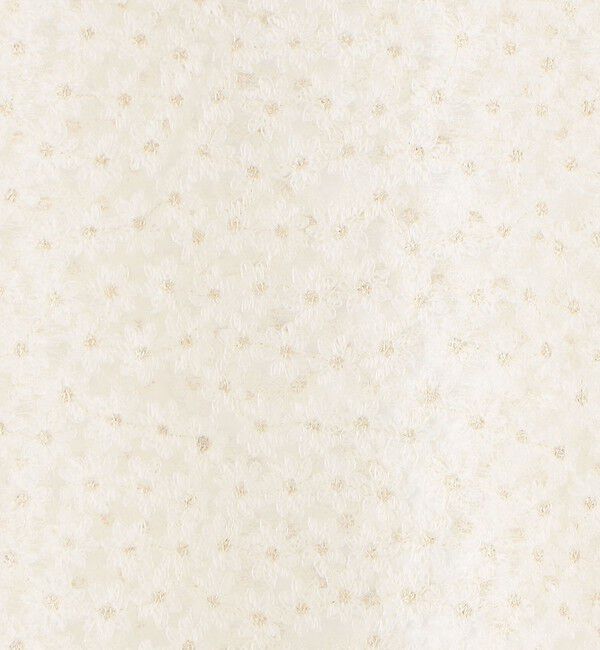 Ballsey「チュールエンブロイダリー レースフレンチスリーブプルオーバー」|シャツ・ブラウス|