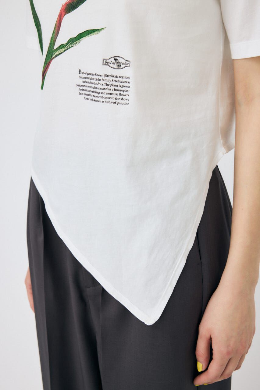 MOUSSY「ASYMMETRY フラワー TEE」|Tシャツ・カットソー|