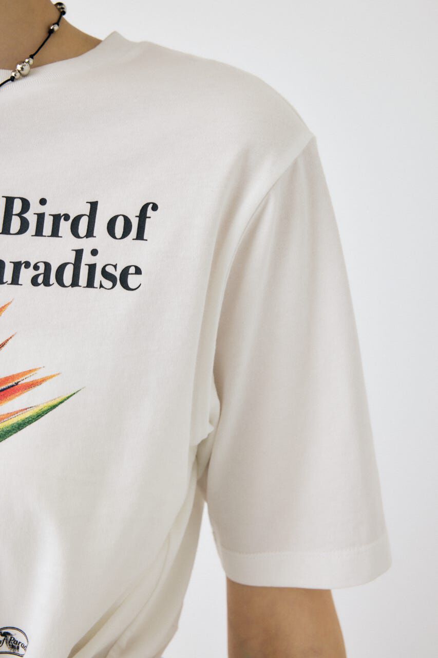 MOUSSY「ASYMMETRY フラワー TEE」|Tシャツ・カットソー|