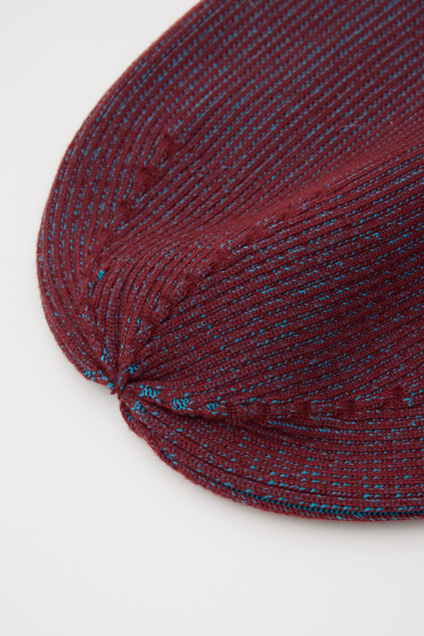 SLY「DAMAGING RIB BEANIE」|その他|