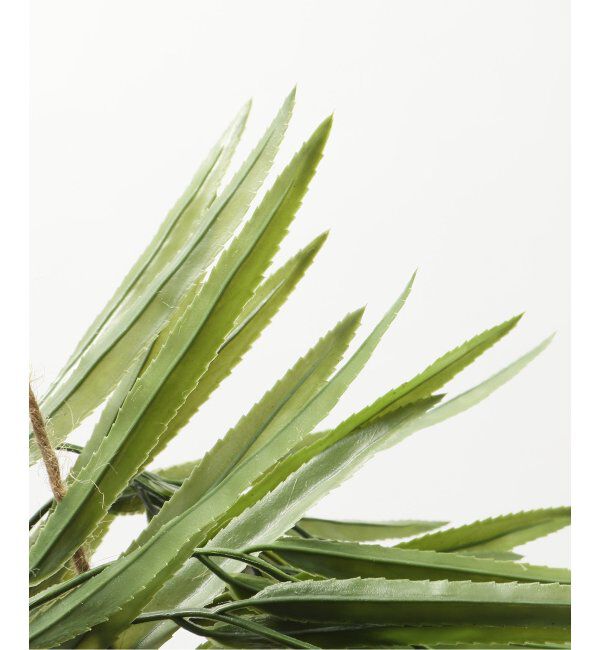 journal standard Furniture「【Brown./ブラウン】リプサリス ハンギングポット　フェイクグリーン」|その他|