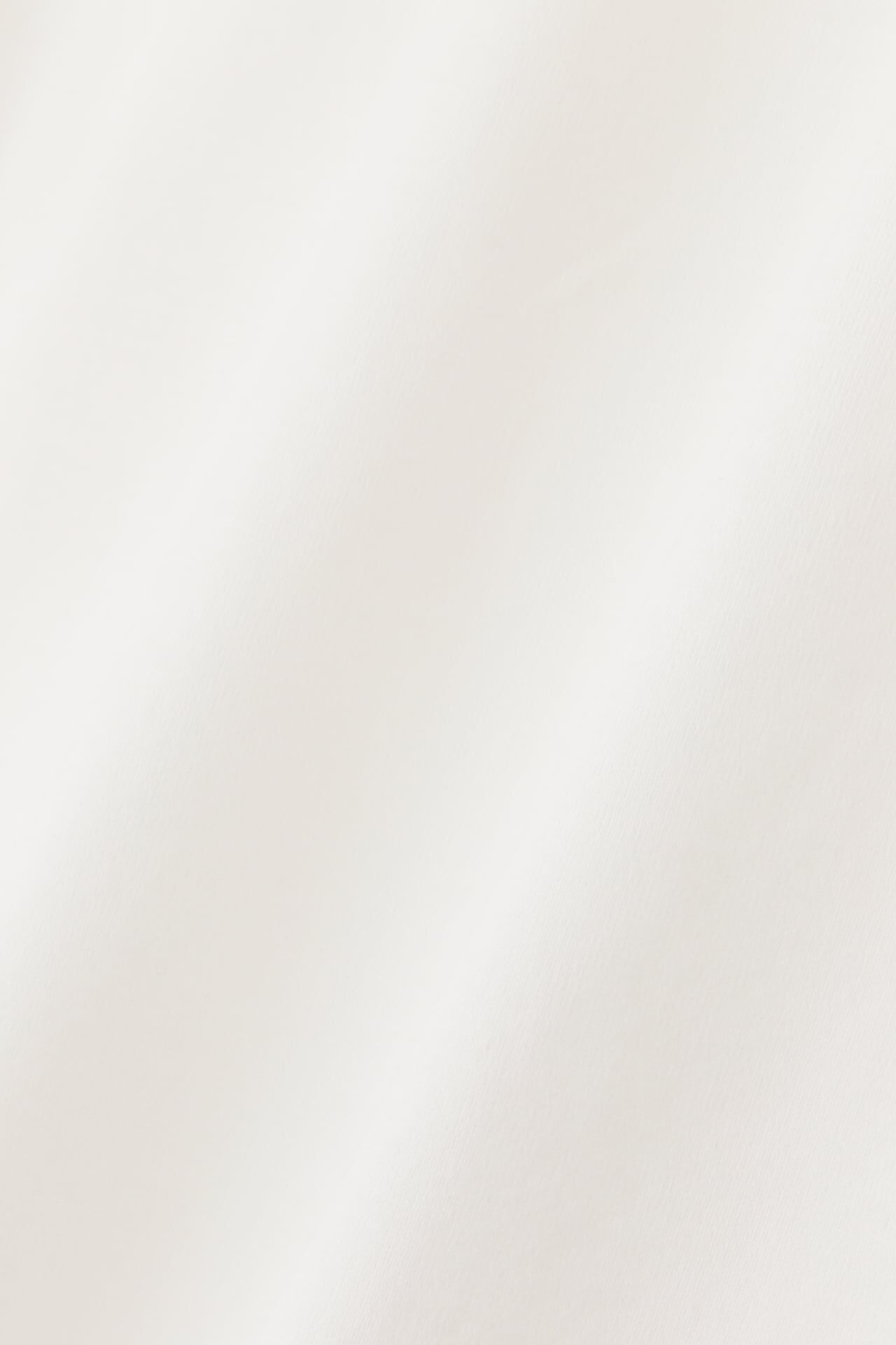  「オーガニック綿天竺Ｔシャツ」|Tシャツ・カットソー|