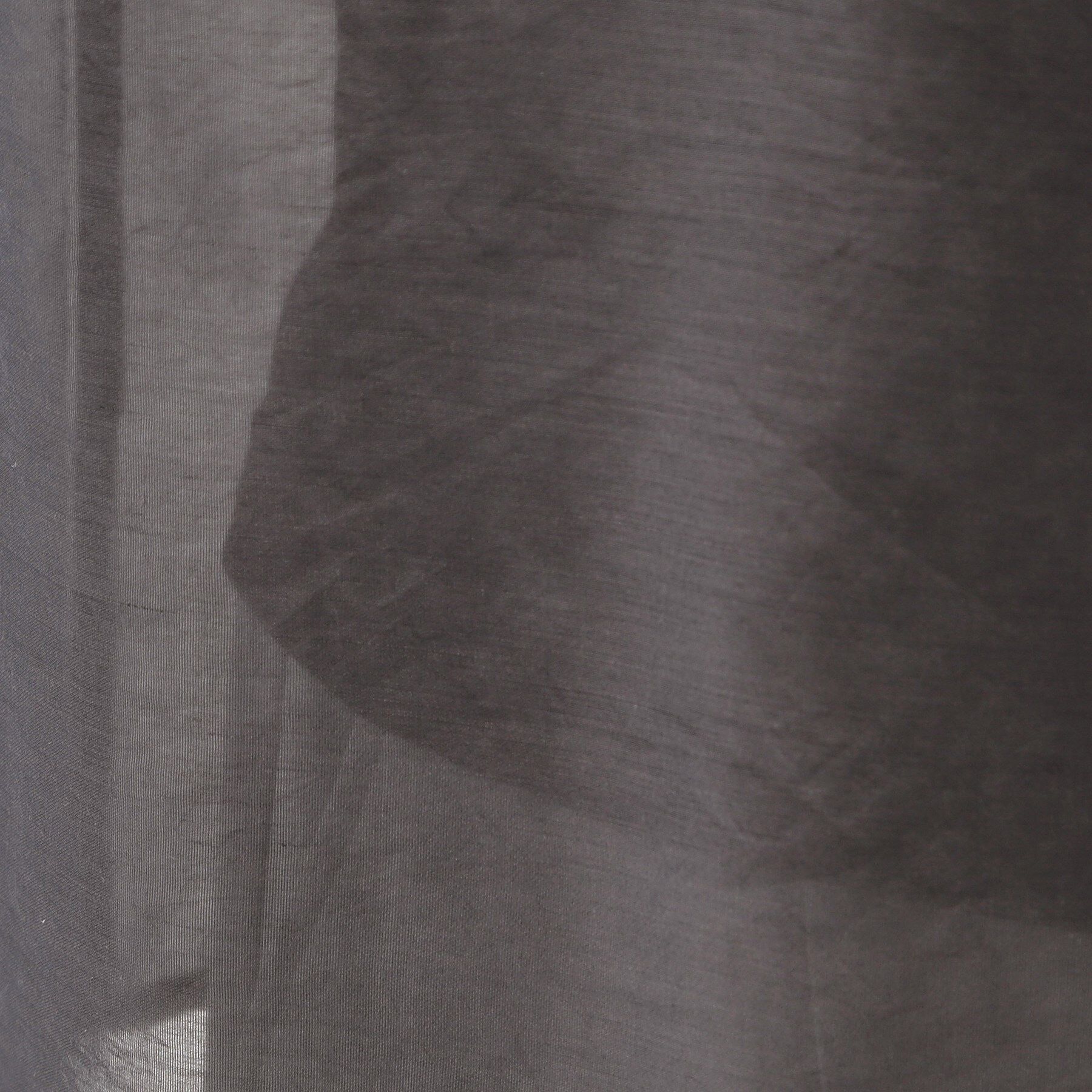 SHOO･LA･RUE「【洗える/S-LL】着るだけでサマ見え オーガンジーレイヤードトップス」|シャツ・ブラウス|