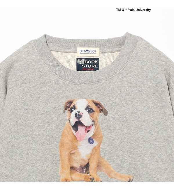 BEAMSBOY「【別注】THE BOOKSTORE / YALE スウェット 25FW」|スウェット・ジャージ|