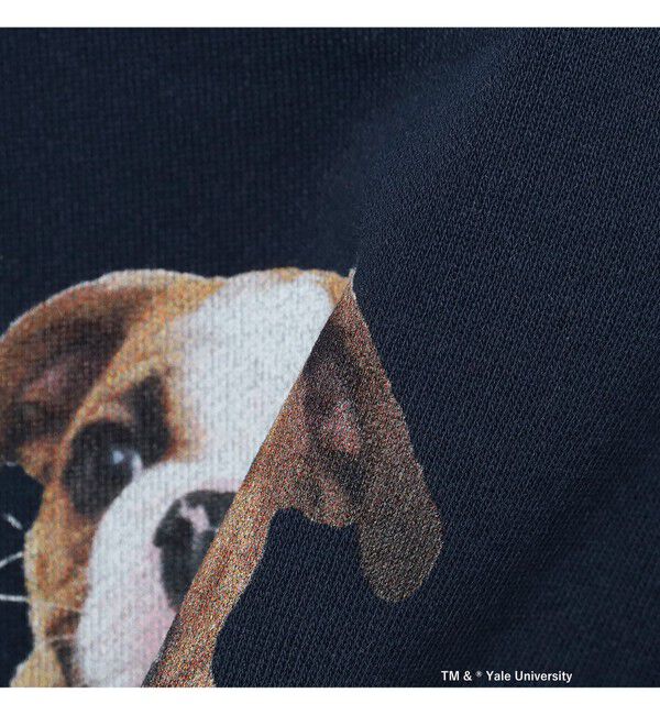 BEAMSBOY「【別注】THE BOOKSTORE / YALE スウェット 25FW」|スウェット・ジャージ|