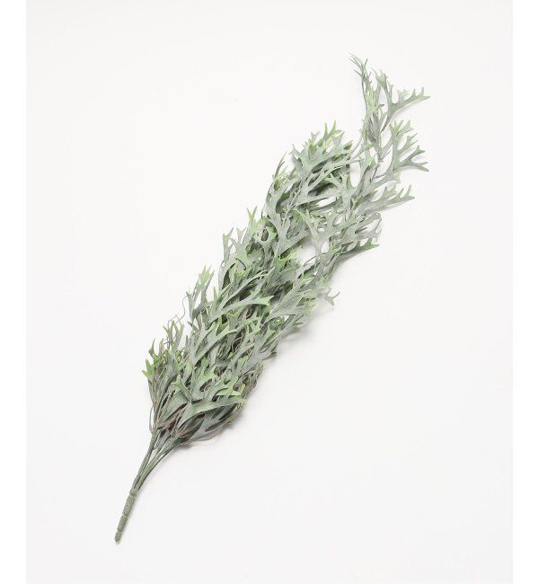 journal standard Furniture「【Brown./ブラウン】ビカクシダ ハンギングブッシュブルー　フェイクグリーン」|その他|