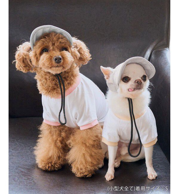 ROPE PICNIC PASSAGE「【DOG】【comif(コミフ)&times;ROPE' PICNIC】シャイニーキャップ/リンクコーデ」|その他|