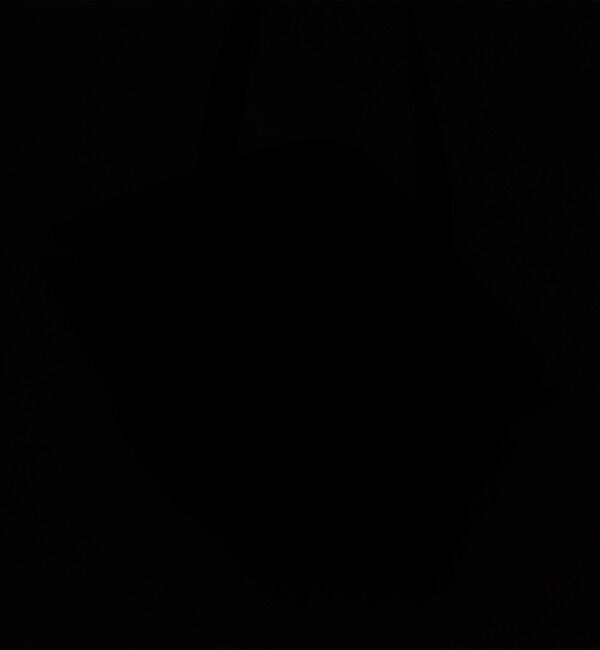 UNITED ARROWS green label relaxing「＜THE NORTH FACE＞ピレネートート トートバッグ」|トートバッグ|