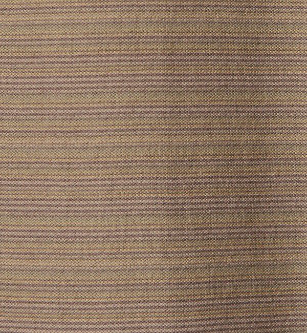 STEVEN ALAN「＜Steven Alan＞ オーガニックコットン アソート ボーダー ロングスリーブ Tシャツ BOLD」|Tシャツ・カットソー|